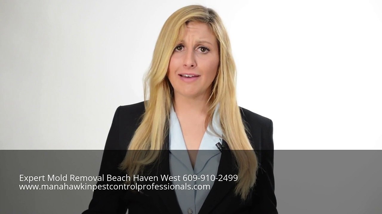 Expert Mold Removal Beach Haven West 609-910-2499