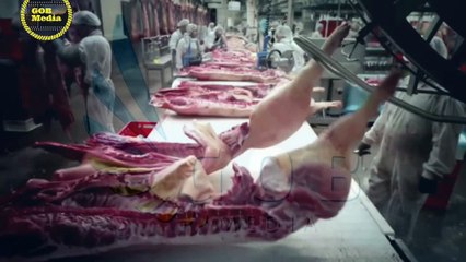 You'll Never Eat them Again. Candy Assault