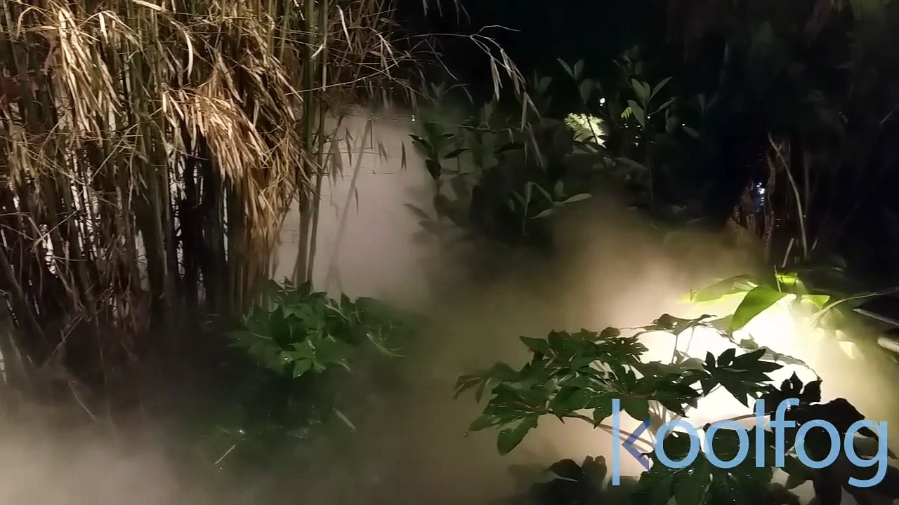 Fog Effects in Tropical Landscape