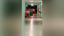 Ghost of young child caught on camera by terrified hospital staff as it hides by bed