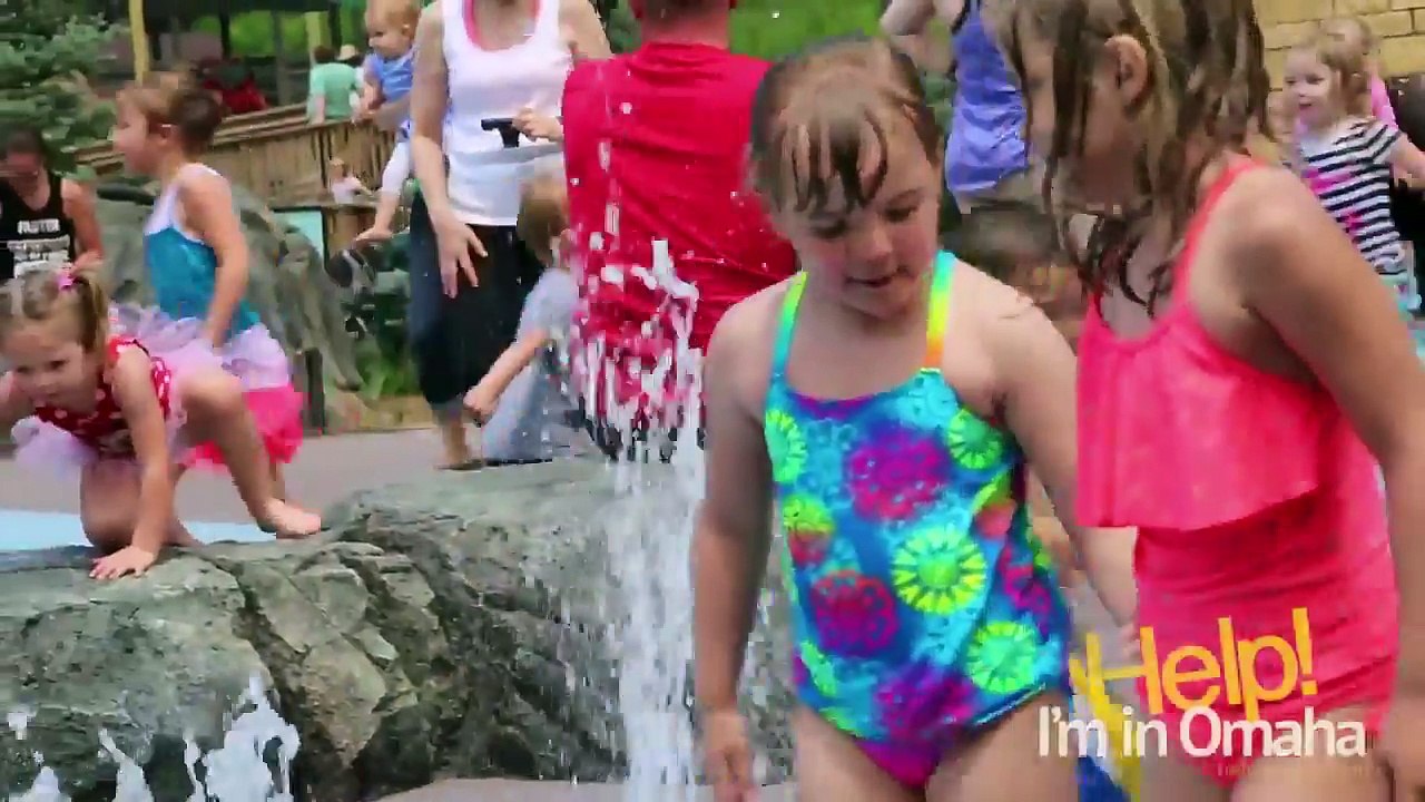 Fog in New Water Play Park at Henry Doorly Zoo