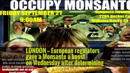 Key Element of Monsanto Weed Killer Not a Carcinogen, European Agency Says -