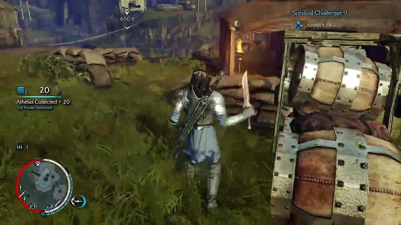 First Platinum! (11)