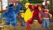 Finger Family Song SESAME STREET Nursery Rhymes Cookie Monster Big Bird Elmo Ernie Cookie Tv Video
