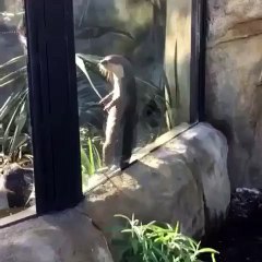 The feeling when you passed the exam without studying