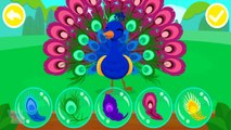 Learn Animal Traits and Behaviors with Friends of the Forest by BabyBus Kids Games