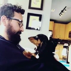 Ce toutou déteste les bisous !