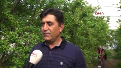 Antalya Can Erik Üreticinin Yüzünü Güldürüyor