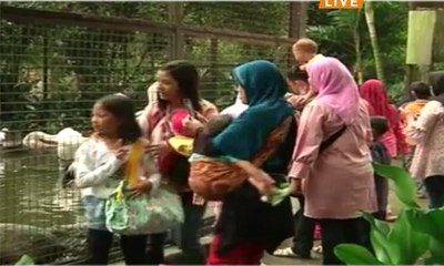 Pelarangan Atraksi Liar Hewan di Kebun Binatang