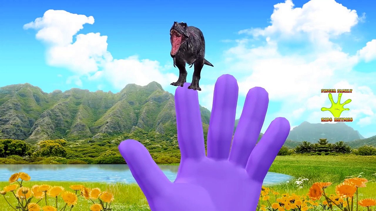 Dinosaur Surprise Eggs Finger Family | Little Baby Boy Surprise Eggs Opening Finger Family