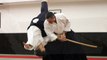Les sélections techniques Aikido de Michel Erb Sensei Part 27 Tachi Dori