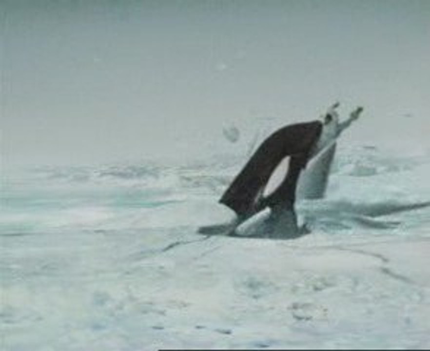 la peche dans le pôle nord " humour "