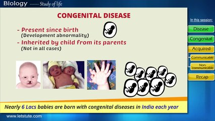 Human Health & Disease | Biology | Science | LetsTute