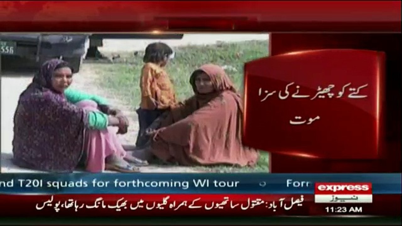 Owner guns down teenager over teasing pet dog in Faisalabad