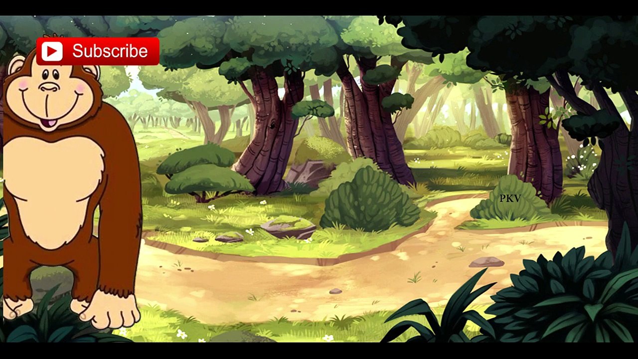 Melody EL BAILE DEL GORILA