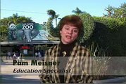 San Diego Zoo at 90: White Elephants?