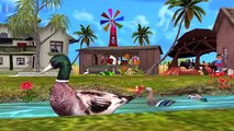 Learning Animals Sounds For Children 3D Learn Animals Names For Kids And Toddlers Learn Wi