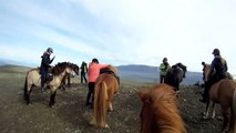 Horse Riding - Icelandic Horses for