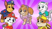 Paw Patrol Finger Family | Soccer | BasketBall | Daddy Finger Nursery Rhyme Sing Song #Animation