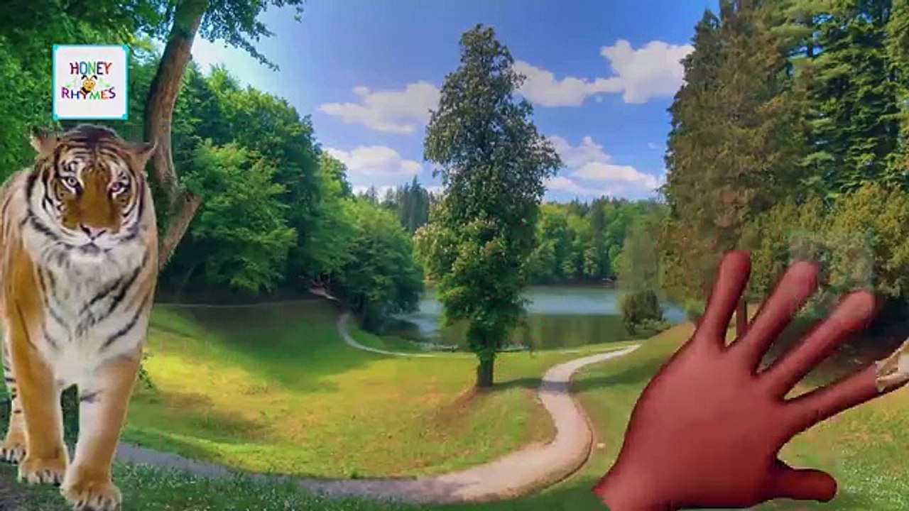 Finger Family Collection Cartoons For Kids | Ice Cream Dinosaurs Transformers Daddy Finger Rhymes