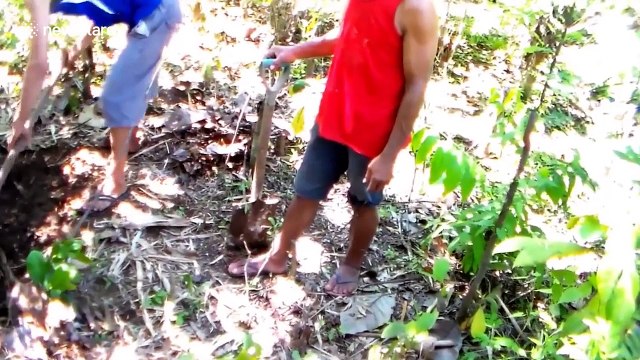 Man pranks treasure hunters with chocolate coins