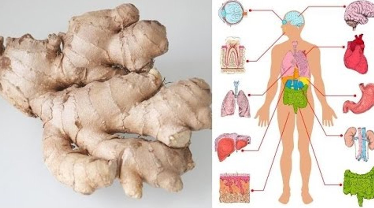 Health Benefits of Ginger - What is ginger good for?