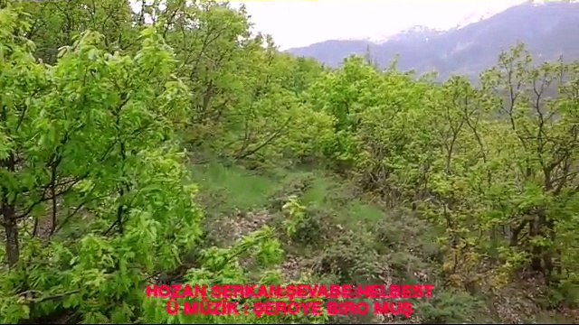 hozan serkan şevabe dengbeji