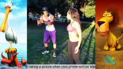 Funny Clip - Laugh just minutes - Funny for child (Part 4)