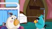 ЗЛЫЕ ПТИЧКИ Angry Birds Энгри Бердс мультик для детей Angry Birds Angry Birds cartoon for