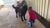 Little girl kisses dog goodbye before school