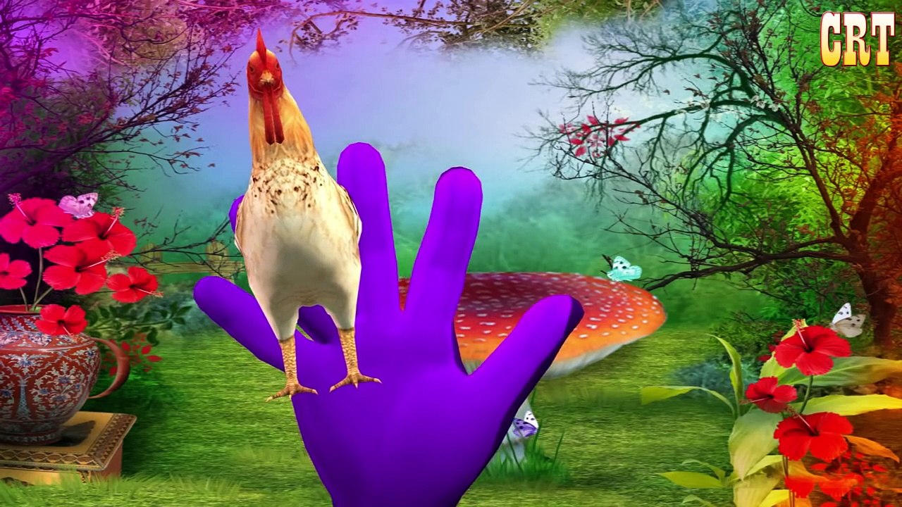 Top Animal Finger Family Rhymes Collection | Cartoon Animals Finger Family Songs | Nursery