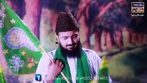 Promo Rabi Ul Awal Hamaray Mustafa 2017 Syed Annas Rabi