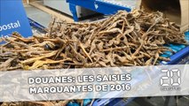 Les saisies les plus marquantes des Douanes en 2016