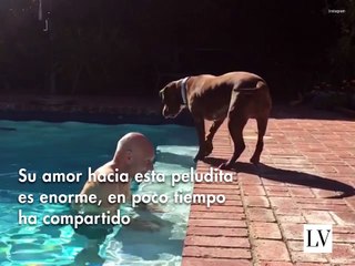 No compres, es mejor adoptar una mascota