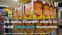 Cheerios wants you to help to save the bees!