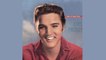 Elvis Presley - For LP Fans Only - Full Album