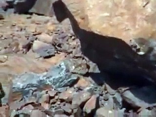 Hazrat Amina Bibi (R.A) ki Qabar-e-Mubarik