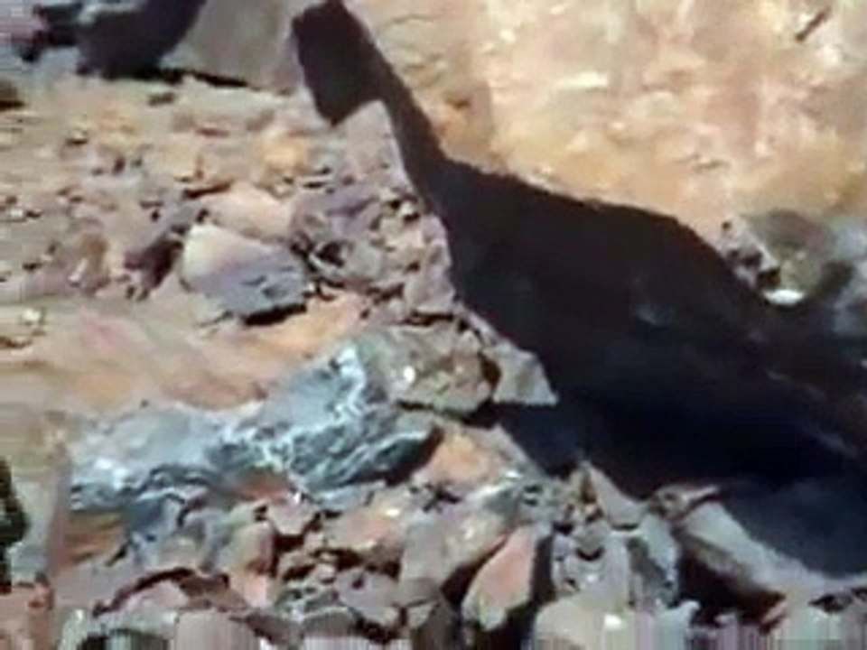 Hazrat Amina Bibi (R.A) ki Qabar-e-Mubarik