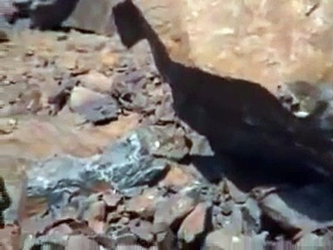 Hazrat Amina Bibi (R.A) ki Qabar-e-Mubarik