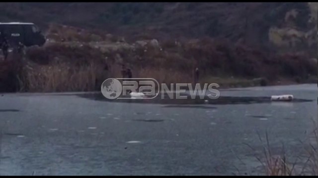 Ora News – Çahet akulli, vëlla e motër bien në Liqenin e Kasharit, mbytet 12-vjeçari