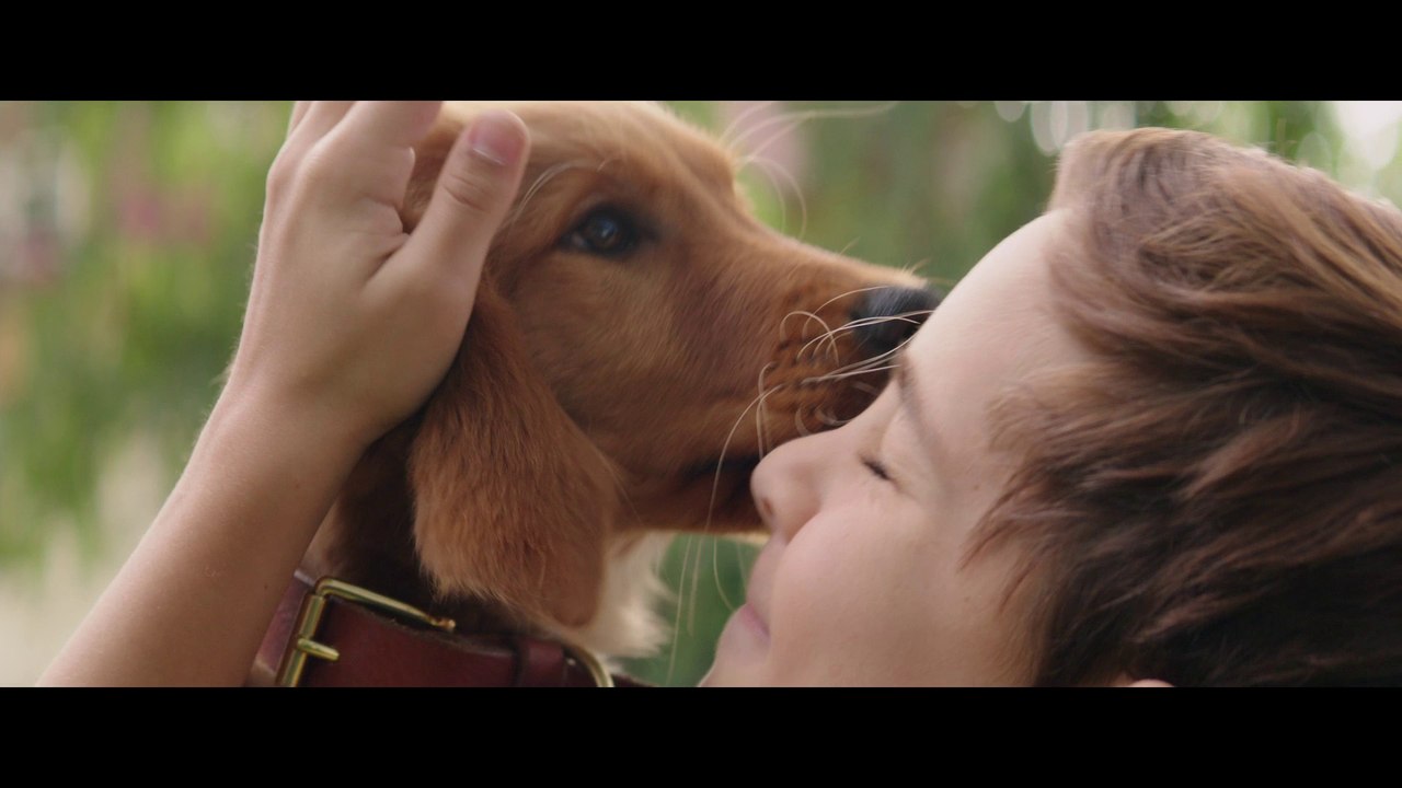 MES VIES DE CHIENS - Extrait - "Bailey, Bailey, Bailey" - VOST