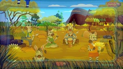 Zebra Finger Family Compilation | Finger Family Zebra Family | Nursery Rhymes for Kids