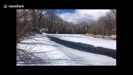 Good samaritans rescue deer from frozen river