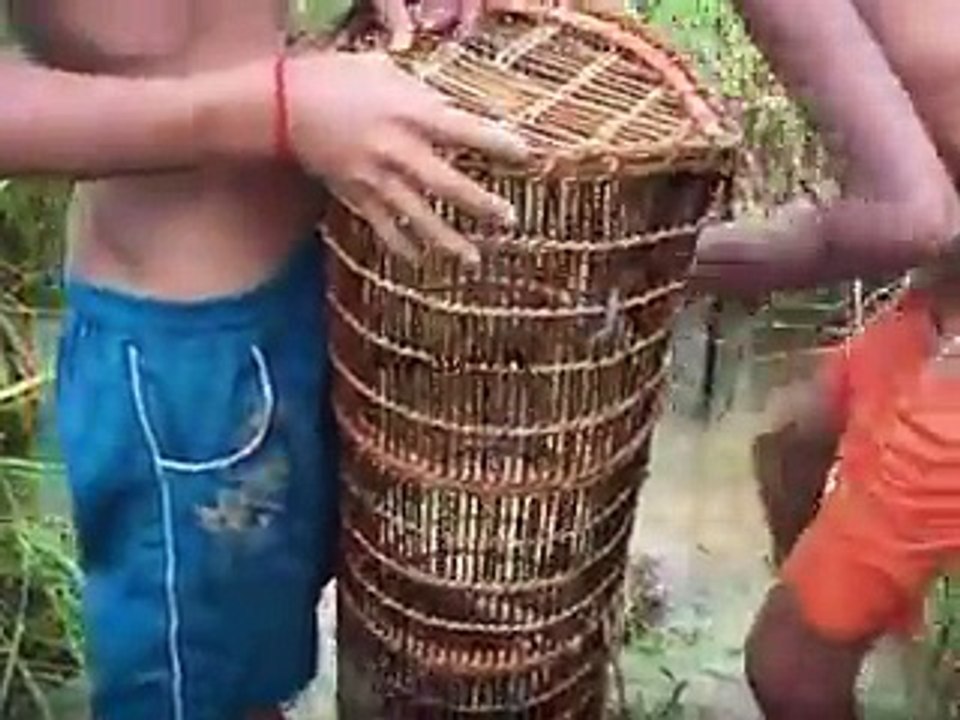 Children Catch Water Snake Using Bamboo