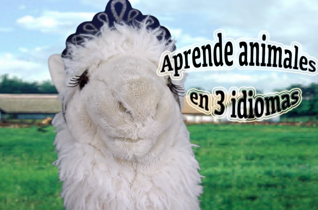 Learn with Catalina animals in 3 languages / Episode 8/10