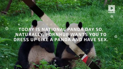 Dress up like a panda and have sex because Pornhub said so