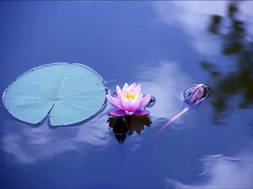 Music For Spiritual Raising - Música para Elevação Espiritual