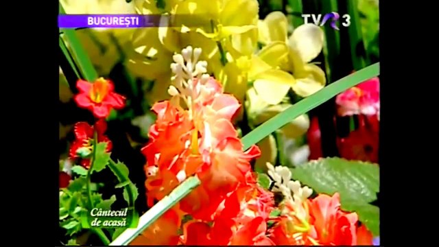 Floarea Calota - Constantine Constantine