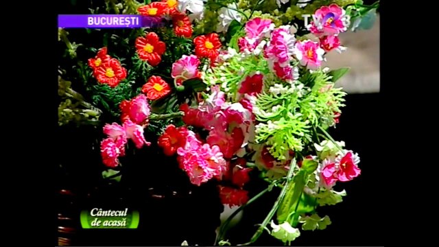 Floarea Calota - Picaturi de untdelemn