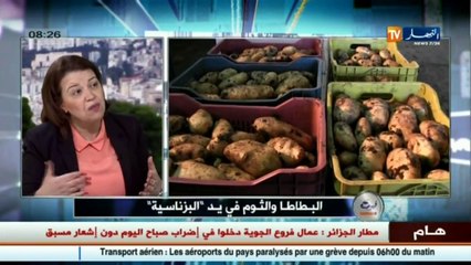 نادية حجرس  من حق أصحاب غرف التبريد تخزين البطاطا ... والسبب!!